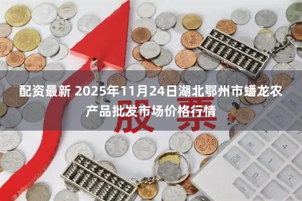 配资最新 2025年11月24日湖北鄂州市蟠龙农产品批发市场价格行情